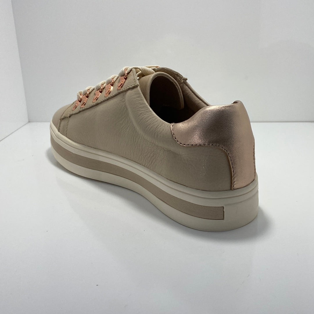 Pablo Leather Lace Up Sneaker A & E