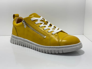 Clarence Casual - Zip & Lace