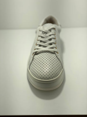 Paradise Leather Sneaker A & E